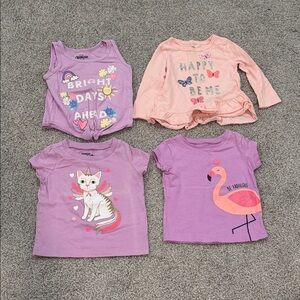 Set of 4 Graphic Toddler Tops Size 9 Months, Baby Girl’s Shirts